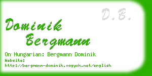 dominik bergmann business card